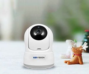 Camera IP