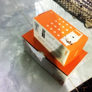 lap-dat-camera-tai-phuoc-khanh-nhon-trach-2-camera-imou-wifi-1